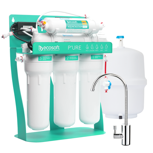 Ecosoft